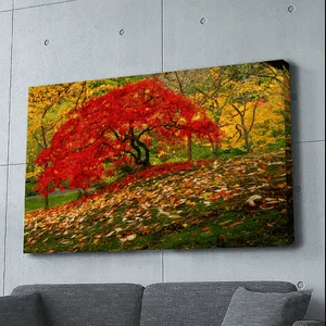 Fall Autumn in Oregon Canvas Wall Art